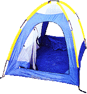 Tent without fly